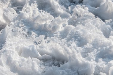 Taze karın arkaplanı