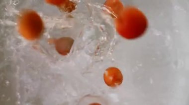 sıralama işlemi kayısı