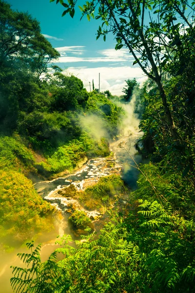 Yeni Zelanda dumanı tüten akışı — Stok fotoğraf