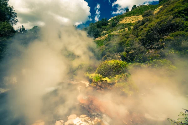 La nature vapeur en Nouvelle-Zélande — Photo