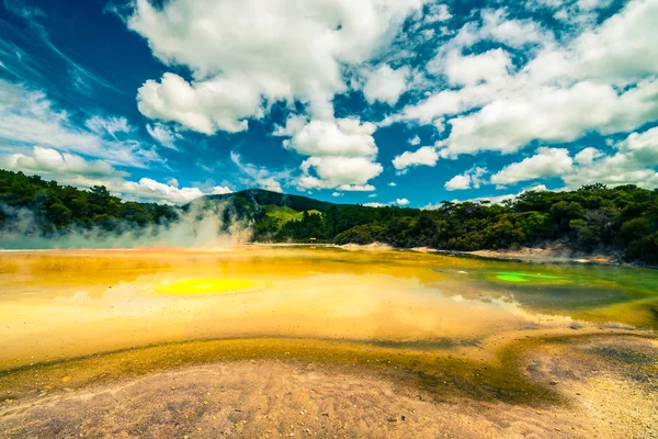 Paisaje termal colorido en Nueva Zelanda —  Fotos de Stock