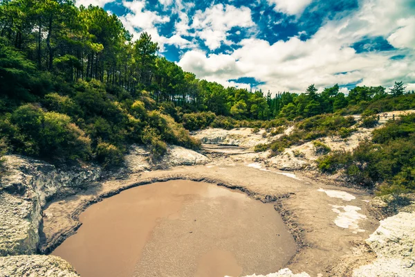 Piscina de barro termal en Nueva Zelanda — Foto de Stock