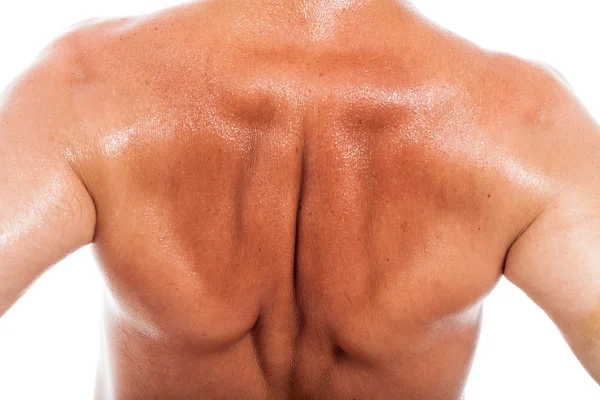 Male back detail — Stock Photo, Image