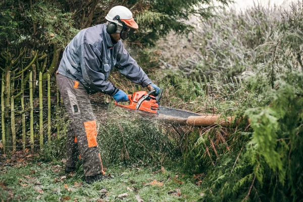 Professionele tuinman met chainsaw Stockfoto