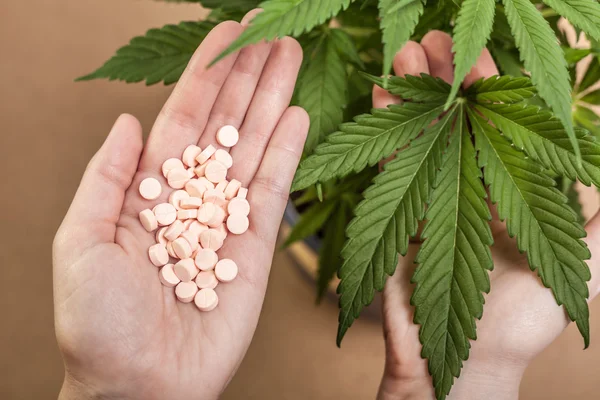 Cannabis und Medizin Stockfoto