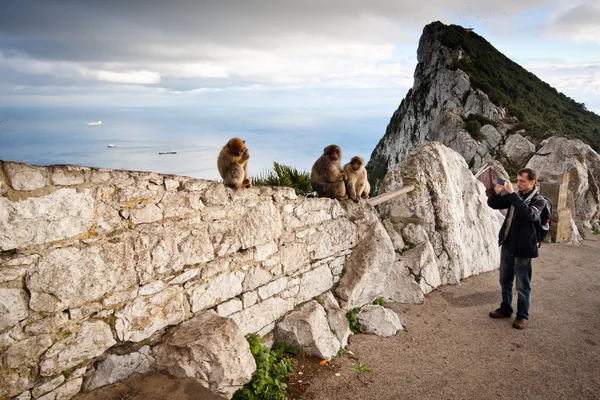 Rock of Gibraltar — Stock Photo, Image