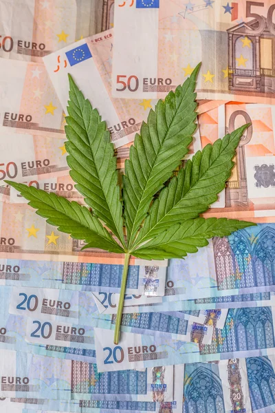 Marihuana-Geschäft — Stockfoto