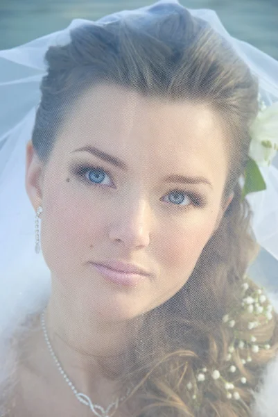 Portrait of Young Bride Wearing Wedding Dress — Stock Photo, Image