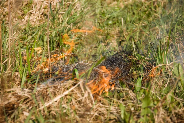Ogień na suchej trawy — Zdjęcie stockowe