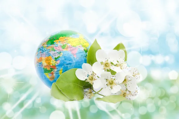 Beyaz arka plan bahar çiçek açan yeryüzünde — Stok fotoğraf