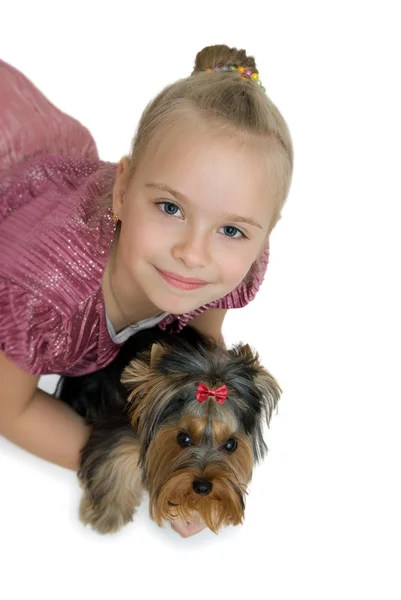 Mladá dívka s štěně, roztomilé yorkshire teriér - nejlepší přátelé — Stock fotografie