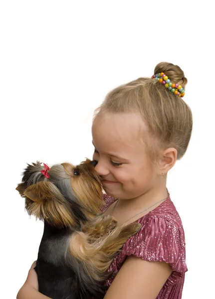 Kız sarılmak bir yorkshire terrier köpek yavrusu. beyaz izole 