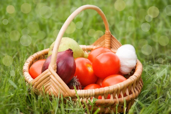 Frisches Gemüse im Korb auf grünem Gras. — Stockfoto