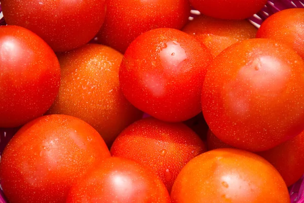 Red tomatoes at open air market