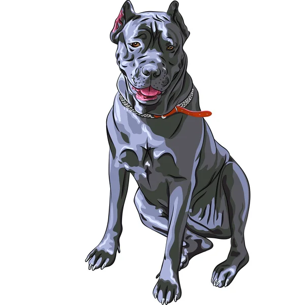 Vektor skiss svart cane corso leende, italienska hundras — Stock vektor