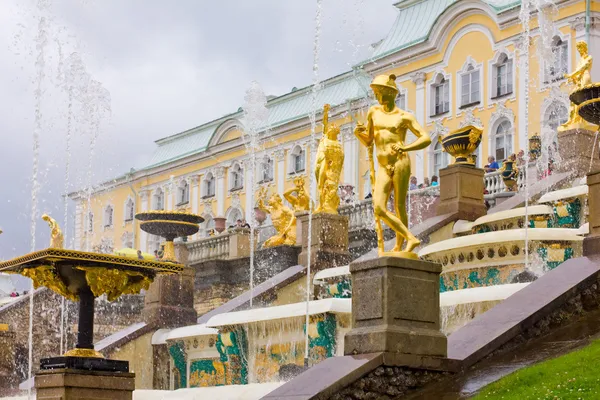 Peterhof 궁전입니다. 비오는 날에 그랜드 캐스케이드 분수 — 스톡 사진