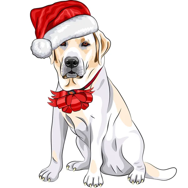 Vector dog Labrador in the hat of Santa Claus with Christmas bow — Stock Vector