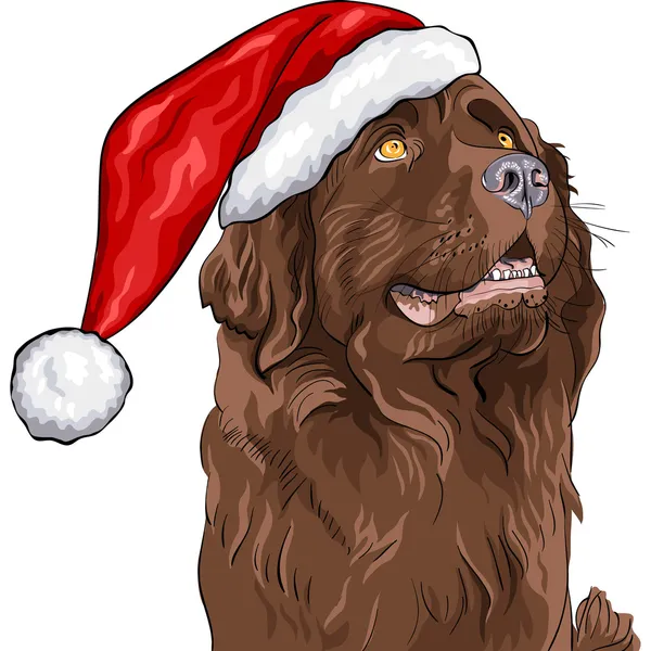 Vector perro pastor alemán en un sombrero de Navidad de Santa Claus — Archivo Imágenes Vectoriales
