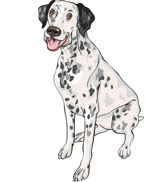 Vector schets hond Dalmatische RAS glimlacht — Stockvector