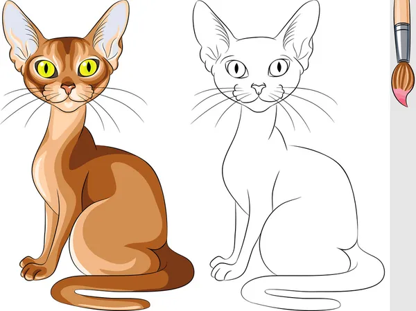 Boyama kitabı ciddi kırmızı kedi abyssinian vektör — Stok Vektör