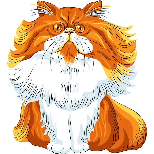 Chat Persan Images Vectorielles Chat Persan Vecteurs Libres De Droits Depositphotos Chat Persan Images Vectorielles Chat Persan Vecteurs Libres De Droits Depositphotos