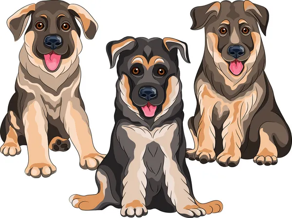 Conjunto de vetores cachorros sorridentes cão pastor alemão — Vetor de Stock