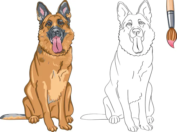 Coloriage vectoriel Livre de chien souriant berger allemand — Image vectorielle