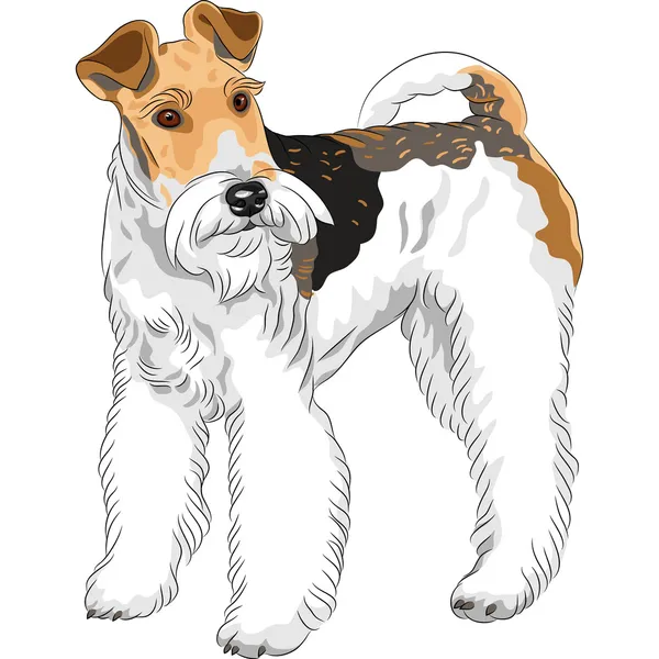 Vector cão esboço Wire Fox Terrier raça de pé —  Vetores de Stock