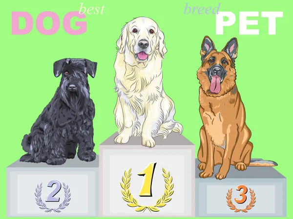 Vector feliz perro campeón en el podio — Archivo Imágenes Vectoriales