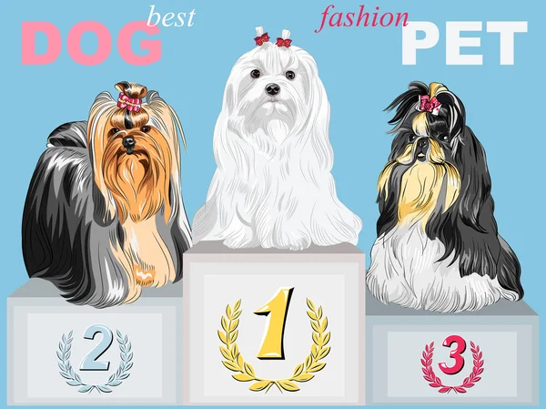 Vector fashion dog champion on the podium — Stock Vector