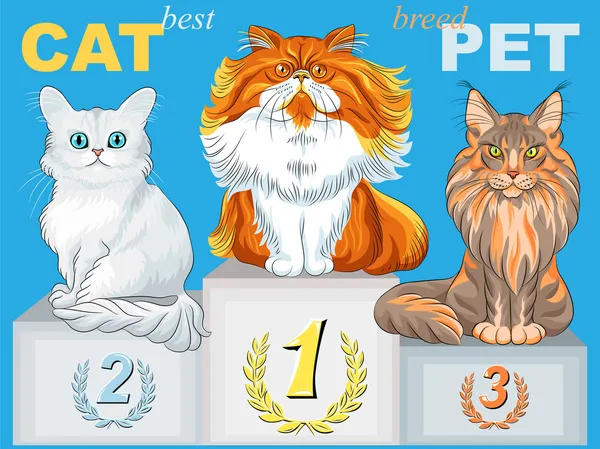 Vector lindo peludo gato campeón en el podio — Vector de stock