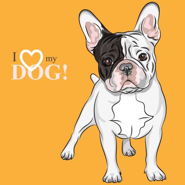 vector sketch domestic dog French Bulldog breed clipart