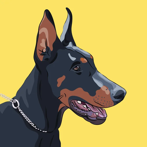 Вектор крупним планом серйозні собака породи доберман пінчер — стоковий вектор