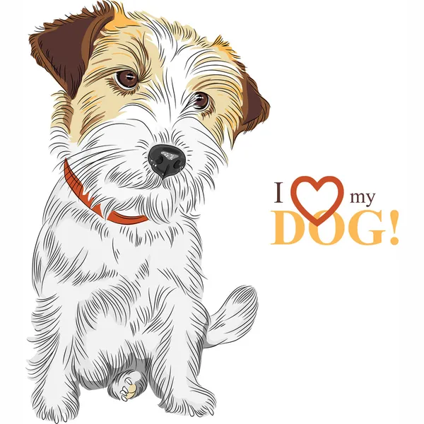 Vector bosquejo perro Jack Russell Terrier crianza — Vector de stock