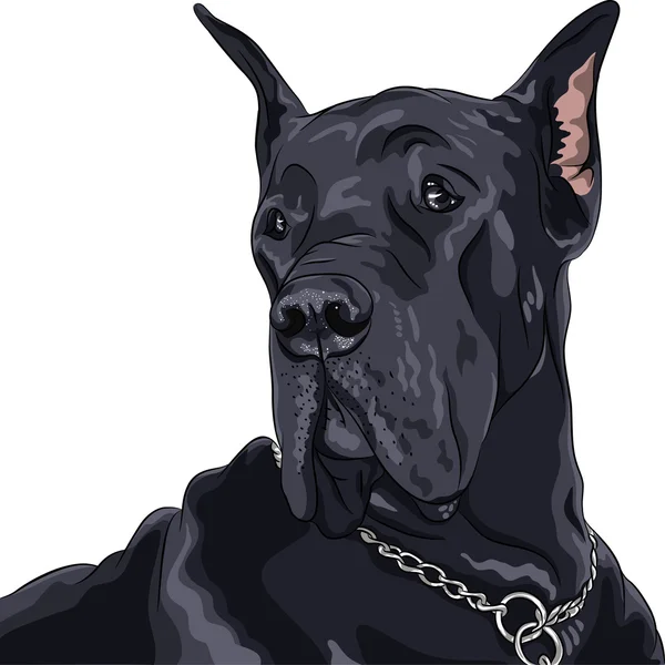 Croquis vectoriel chien domestique noir Great Dane race — Image vectorielle