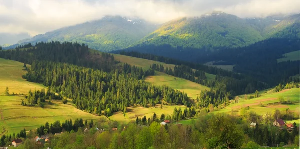 Весняний краєвид Карпатських гір — стокове фото