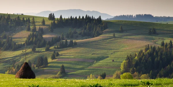 Paisagem de primavera nas montanhas dos Cárpatos — Fotografia de Stock