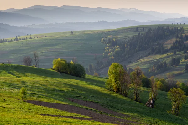 Mglisty wzgórzami Karpat na wschód — Zdjęcie stockowe
