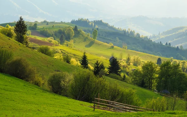 Spring landscape in the Carpathian mountains — Stock Photo, Image