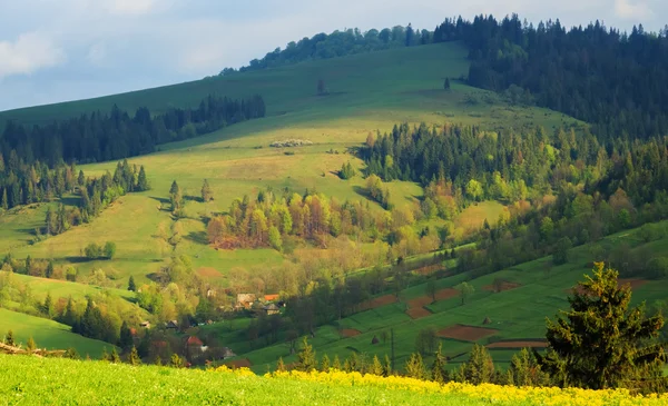 Різнокольорові діагональні Карпатських гір — стокове фото