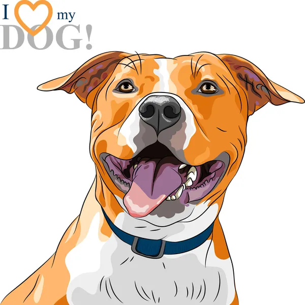 Vector sketch smiling dog American Staffordshire Terrier breed — Stock Vector