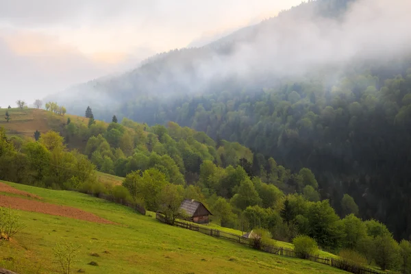 Paisagem de primavera nas montanhas dos Cárpatos — Fotografia de Stock