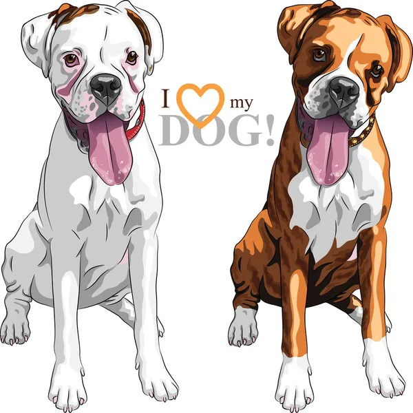 Perro Boxer Vectores Graficos Imagenes Vectoriales Depositphotos