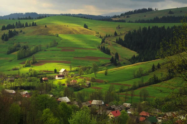 Wiosenny krajobraz w Karpatach — Zdjęcie stockowe