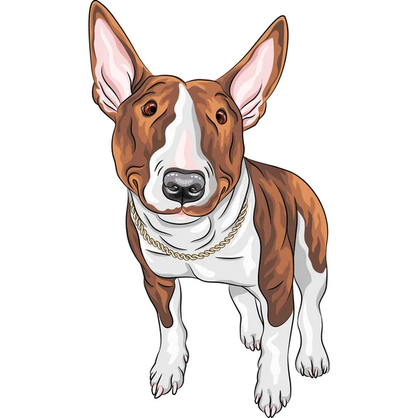Vector smiling cartoon Bull Terrier Dog breed — Stock Vector