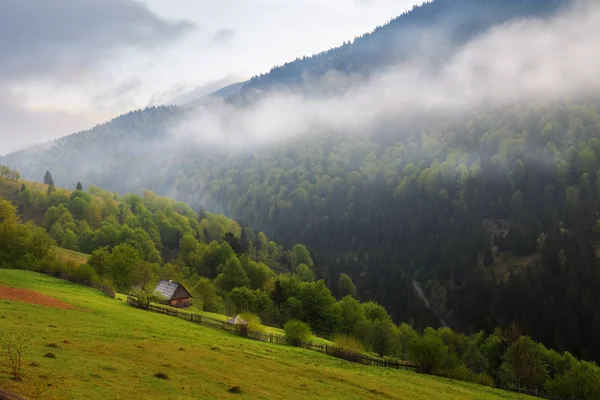Весняний краєвид Карпатських гір — стокове фото