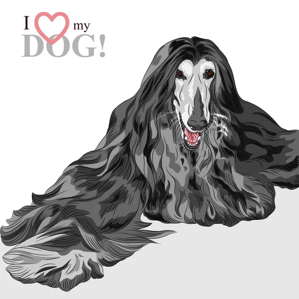 Vector domestic dog black Afghan Hound breed — Stock Vector