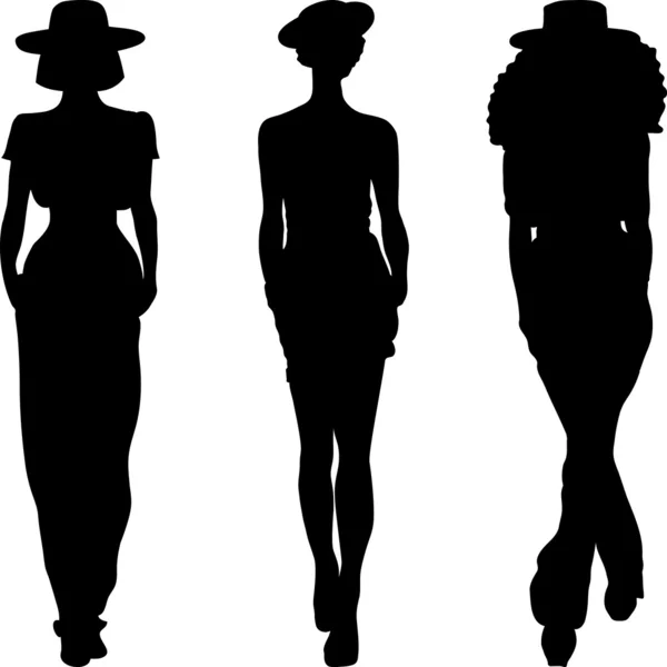 Vector silhouette of fashion girls top models — Stock Vector