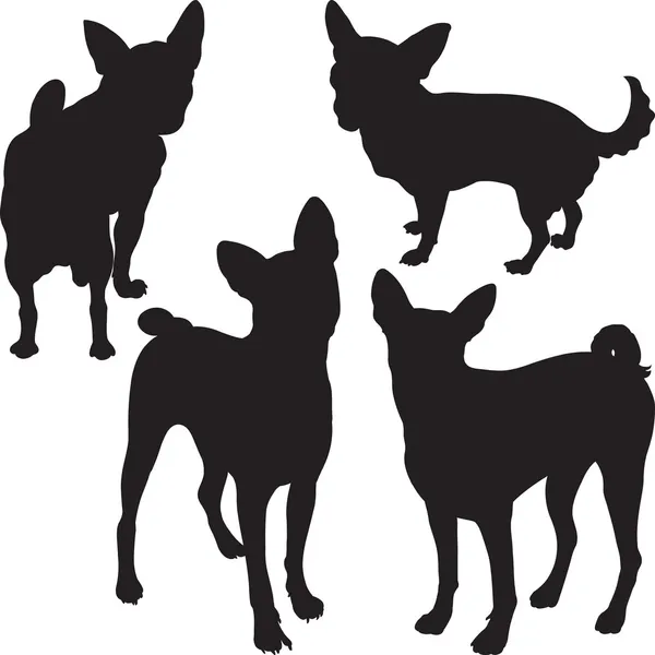 Vector silhouettes of dogs in the rack — Stock Vector