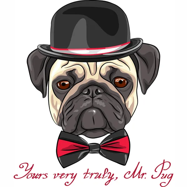 Vector bosquejo hipster perro pug crianza — Vector de stock